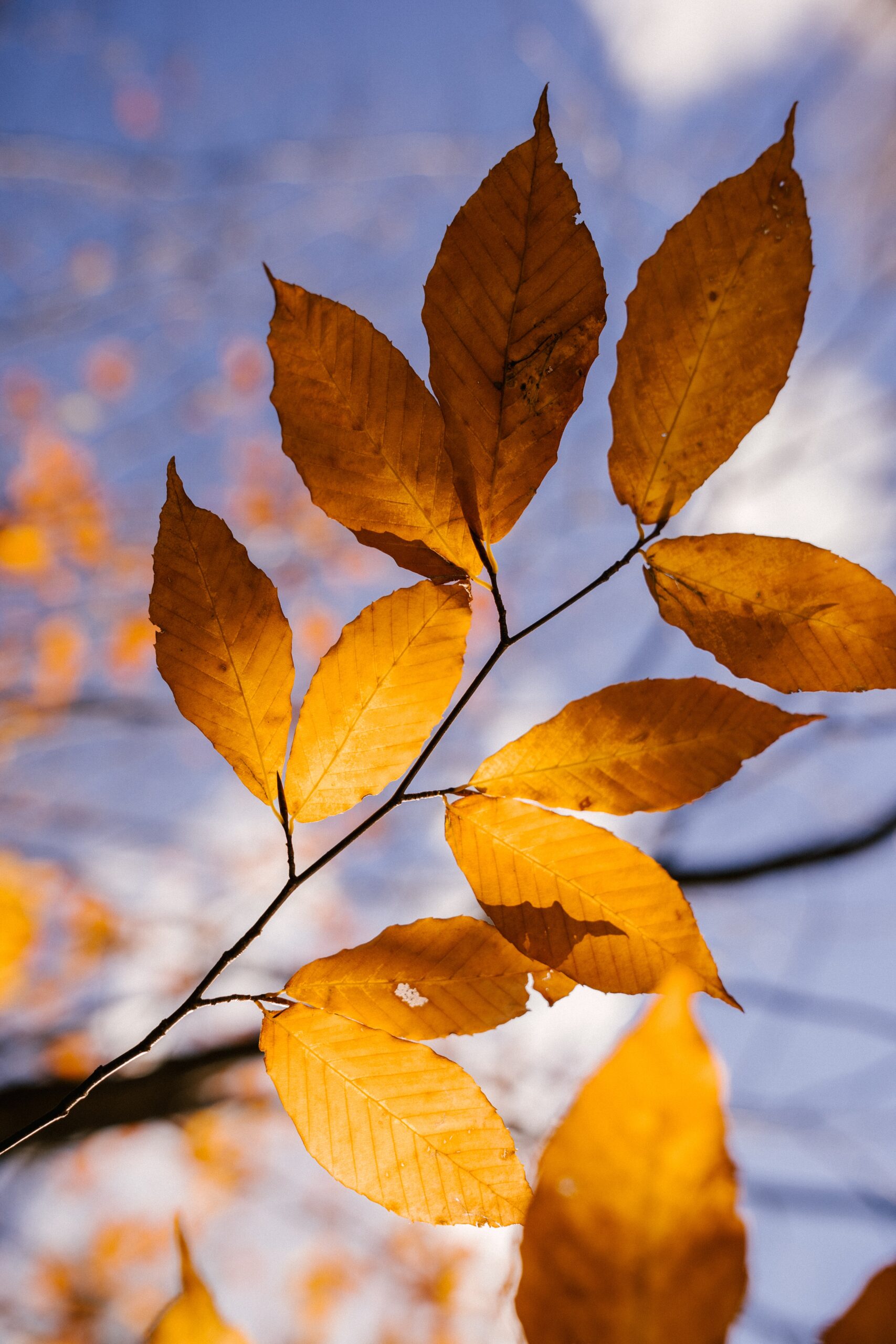 Aspen Tech Policy Hub: Cybersecurity Awareness Month: Recommendations from Hub Alumni Experts